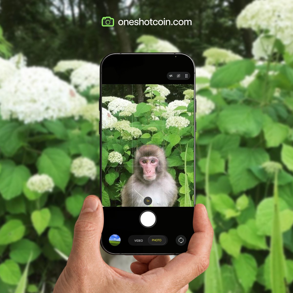 tryoneshotcoin's tweet photo. We think this Monkey could’ve been a great Coin with a $60K+ MCAP.  

OneShot. Capture your life, launch your coins. https://t.co/mPgOEDRXma