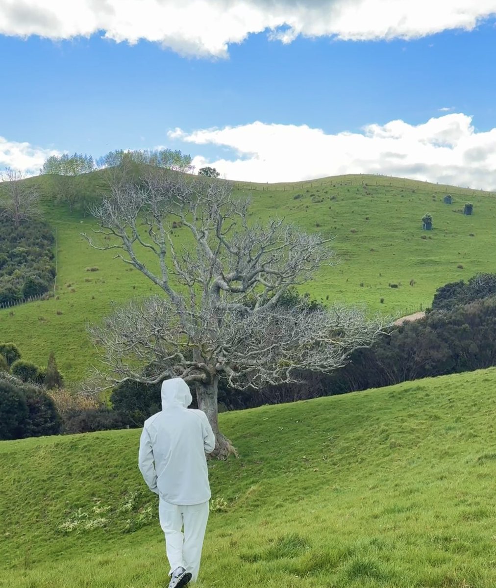 Koala329422's tweet photo. Lost in the beauty of Aotearoa. https://t.co/4mMs9yNYxJ