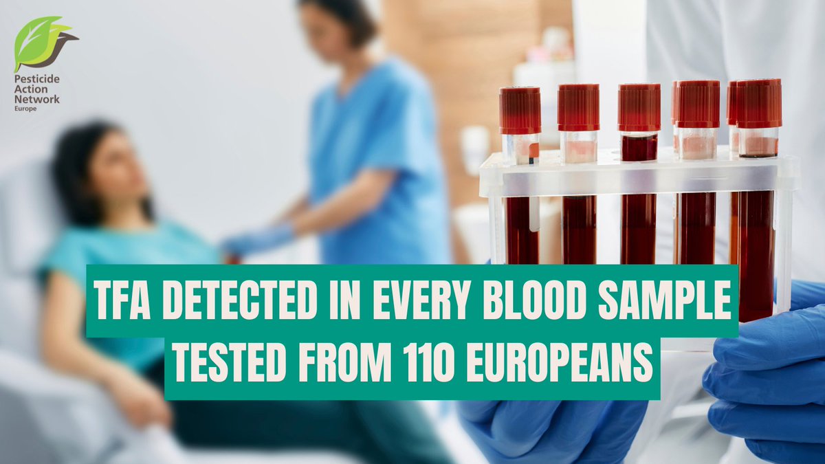 EuropePAN's tweet photo. 🔬🩸 A new study has detected the ultra-short #PFAS trifluoroacetic acid #TFA in all 110 European participants’ blood samples tested. 

We call for an immediate ban on PFAS #pesticides that contribute to TFA pollution.

https://t.co/nZ6GpVpPsN https://t.co/Jk52GNbC3d