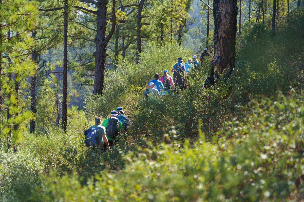 GCWFestival's tweet photo. Sumérgete en #GranCanaria y comparte historias con la mejor compañía 🚶✨

Una isla donde la flora y fauna endémica conviven con sorprendentes joyas geológicas moldeadas por el paso del tiempo ⛰️🍃

Programa #GCWF2026 👉 https://t.co/lBSjoyYkwq

#GCNaturalandActive #MuchoPorVivir https://t.co/5fYc2EWN1G