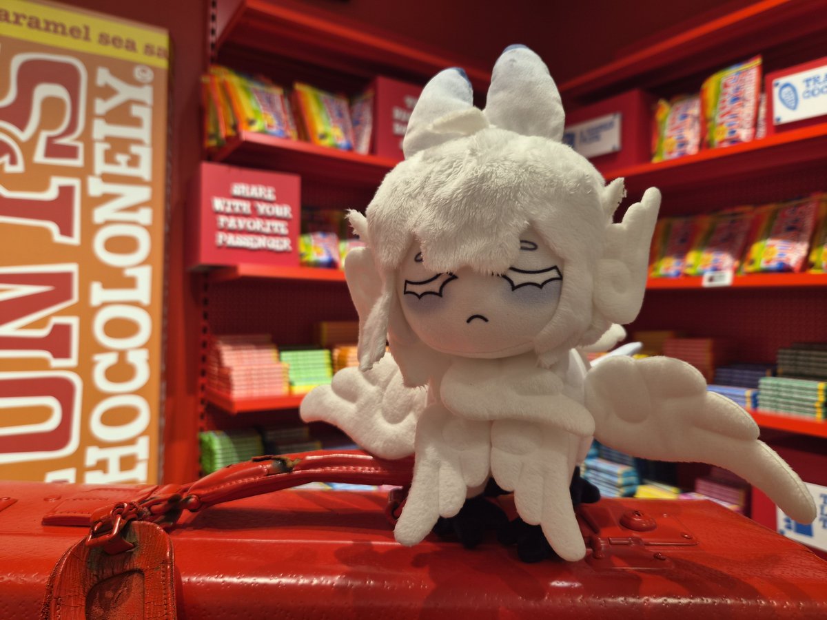 BDo20020802's tweet photo. He has raided the Amsterdam airport chocolate supplies. 

Can he have chocolate or is it like with dogs...? 

@crrnspiracy https://t.co/qs1Hq9Jws2