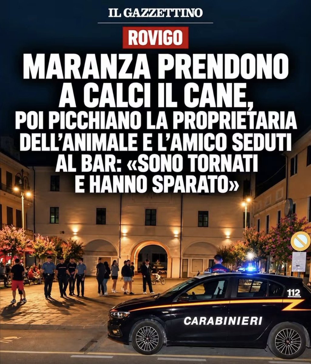 fratotolo2's tweet photo. “Italiani di mexda”, poi le botte e gli spari

A Badia Polesine, un branco di maranza si infastidisce per la presenza del cane e comincia a prenderlo a calci. Poi se la prende con la proprietaria, una donna di 39 anni: insulti, una presa al collo, uno schiaffo, la donna scaraventata contro i tavolini del bar e colpita a calci.

L’amico che è con lei prova a difenderla e viene accerchiato dal branco, colpito con pugni e calci al volto e alla nuca anche mentre è a terra.

Quando la donna prende il telefono per chiamare i carabinieri, il gruppo si allontana. Ma alcuni tornano poco dopo con una pistola, cercano nuovamente l’uomo e viene esploso un colpo in aria. Sono in corso gli accertamenti sulla natura dell’arma.