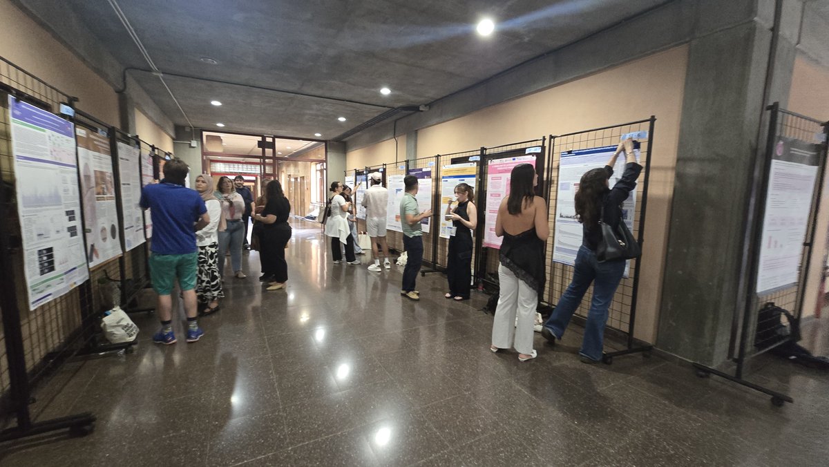 AsociacionJINTE's tweet photo. La investigación toma forma en la sesión de pósteres de #CIJI2026.

Hoy se presentan más de 60 trabajos de diferentes ámbitos, creando un espacio para compartir resultados, intercambiar ideas y conocer otras líneas de investigación.

#CIJI2026 #JINTE https://t.co/xV8KzgYb1U