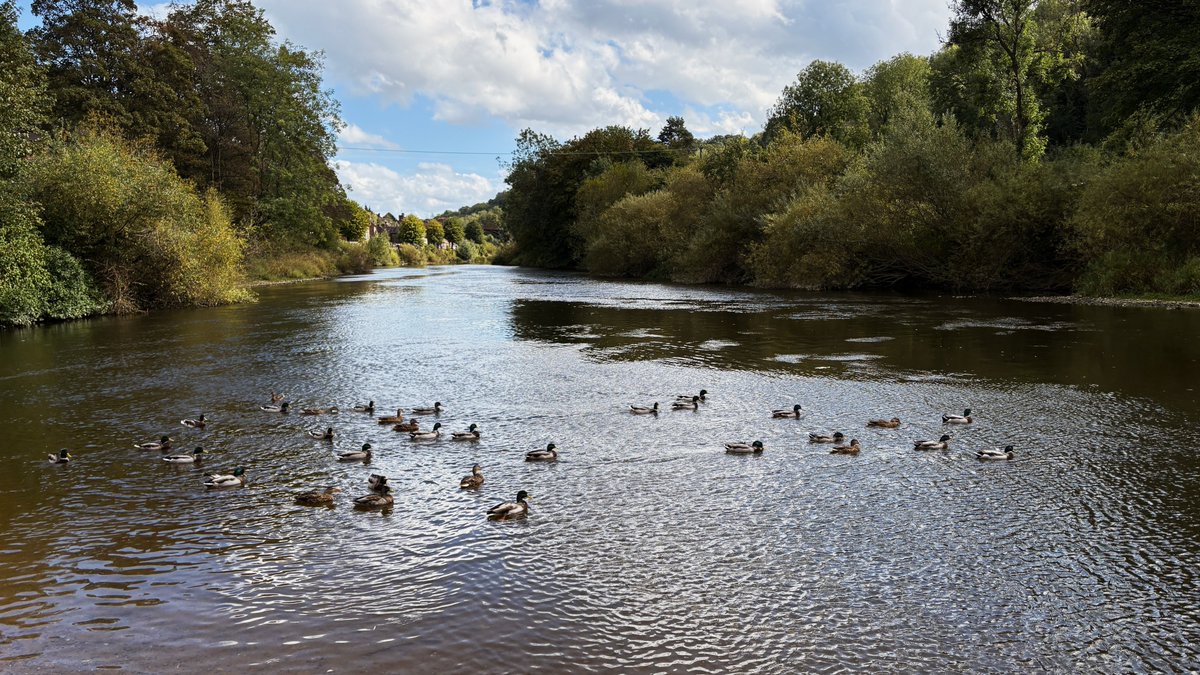 SteveBlackford's tweet photo. Jesus is an Ironbridge Girl
https://t.co/KQhNp48Bs6
https://t.co/uW1GY8cJrZ
Yesterday's "Dear Diary", with music from Elbow
#ironbridge #telford #shropshire #elbow #diary https://t.co/qYxVnNZaCy