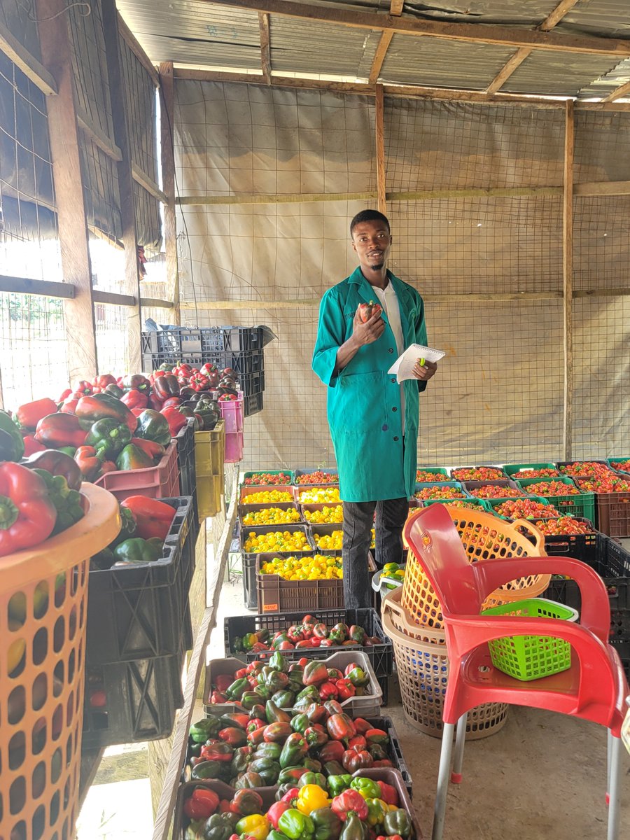 AyobamiLawal20's tweet photo. October first pepper lord reporting ✌️✨️ https://t.co/hoRdG93Z1A