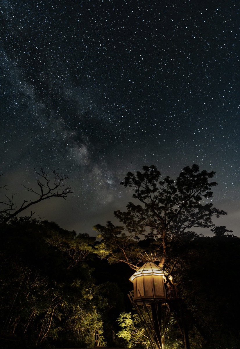 Treeful_Resort's tweet photo. 沖縄の冬の空は特別です。Winter sky in Okinawa has something magical about it.  https://t.co/I9tkj7ToLD #okinawa #treehouse #沖縄 #ツリーハウス #やんばる https://t.co/eNPmI2ZuwA