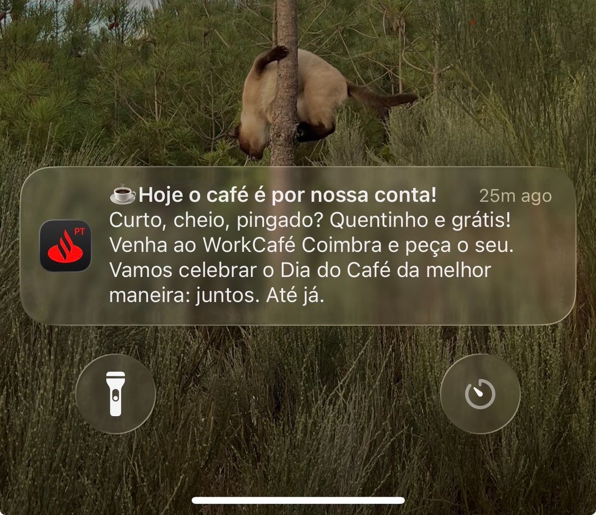 Eleos69's tweet photo. @santanderpt Pago-vos para gerir o meu dinheiro, não para me bombardearem com publicidade na app. Que merda é esta? https://t.co/5pOLADvnRn