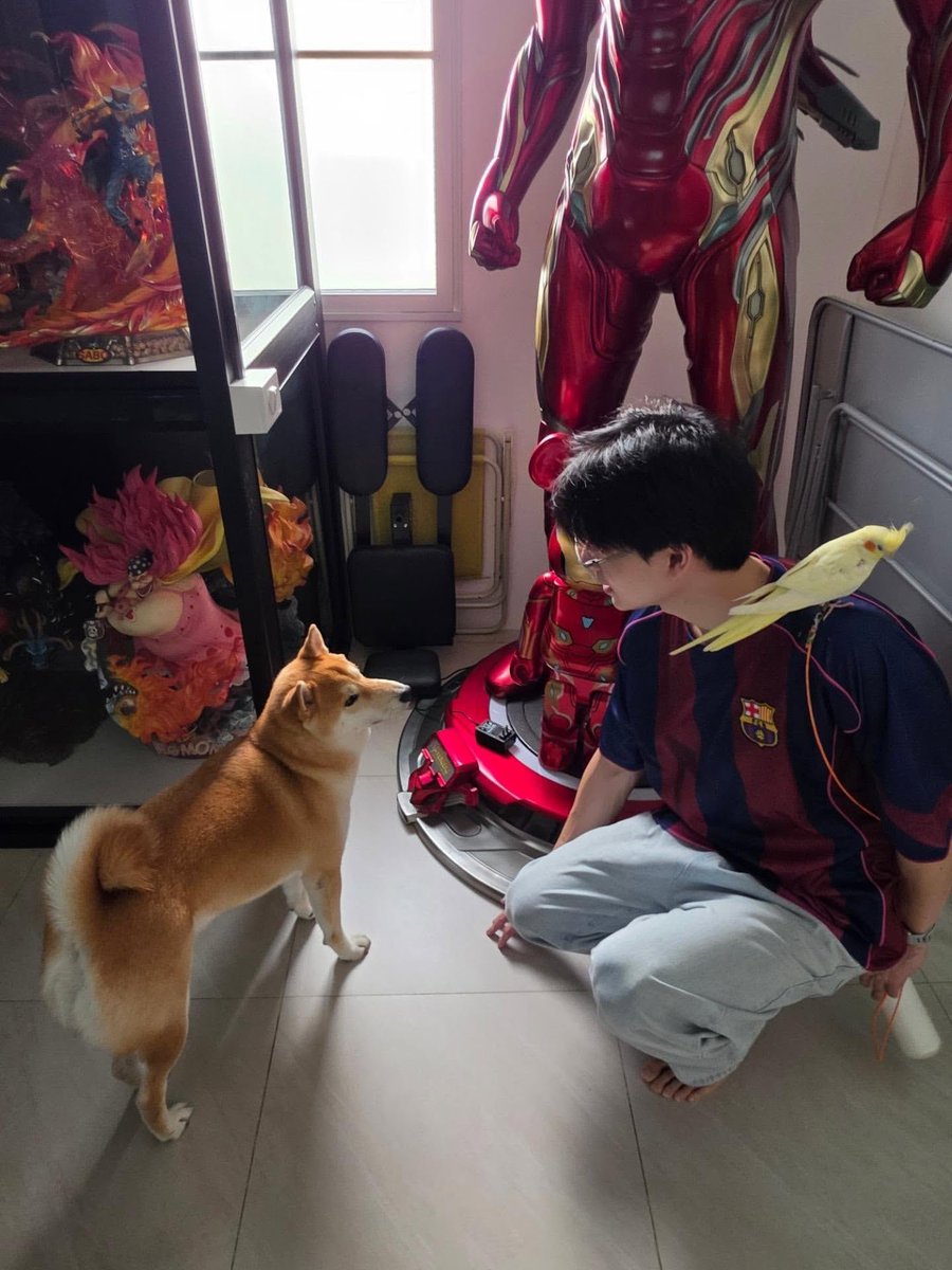 YinWar_JP's tweet photo. 2026.10.01 #yinyin_anw IG

ขอบคุณทุกคนที่ร่วมฉลองวันเกิดปีที่ 28 คับไม่ว่าจะเป็น โทนี่ คิซารุ อาคาอิรุ ซันจิ ซาโบ ลูฟี่ ไคโด บิ้กมัม ซูลู บาบูล และวอแว เค้กก้อนใหญ่มาก อร่อยมากครับ เซอร์ไพรส์มากๆ

#28ปีสารวัตรตี๋ยิ้มหวาน 
28th HAPPY YINYIN DAY
#ZuluEcho5 
#หยิ่นวอร์
#ananwong Yin Anan
@yinyin_anw 
#YinWar_JP