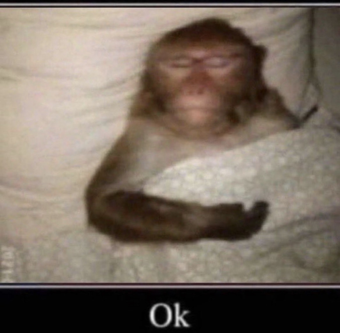aburridead's tweet photo. u live to make peace with ur cognitive dissonance bc who gaf and at end of the day we’re all flawed beings https://t.co/iaquJotOsK