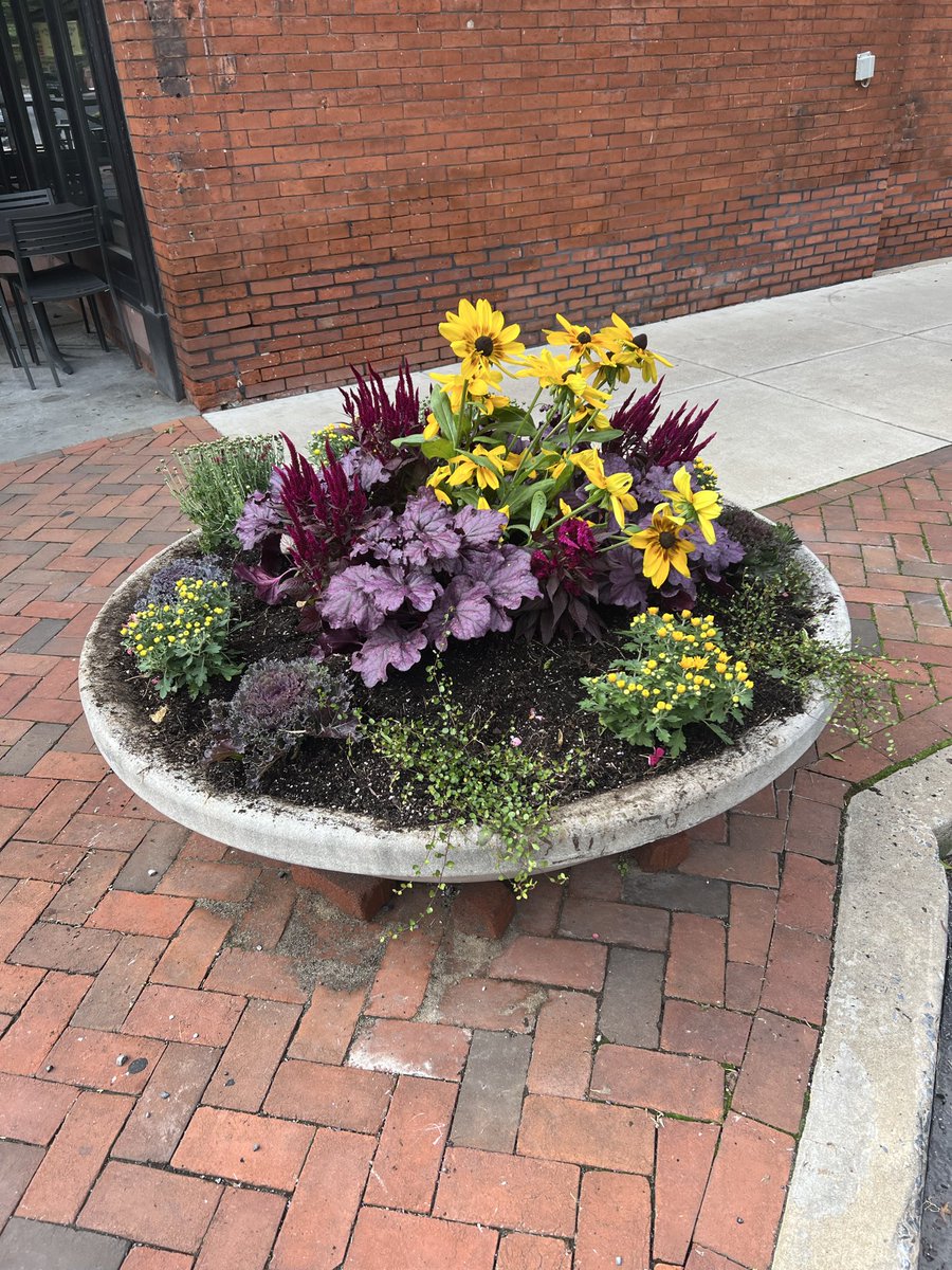 bobber85's tweet photo. Fall container gardening. I love being given a selection of plants and designing on the fly. https://t.co/YMvwT037yp