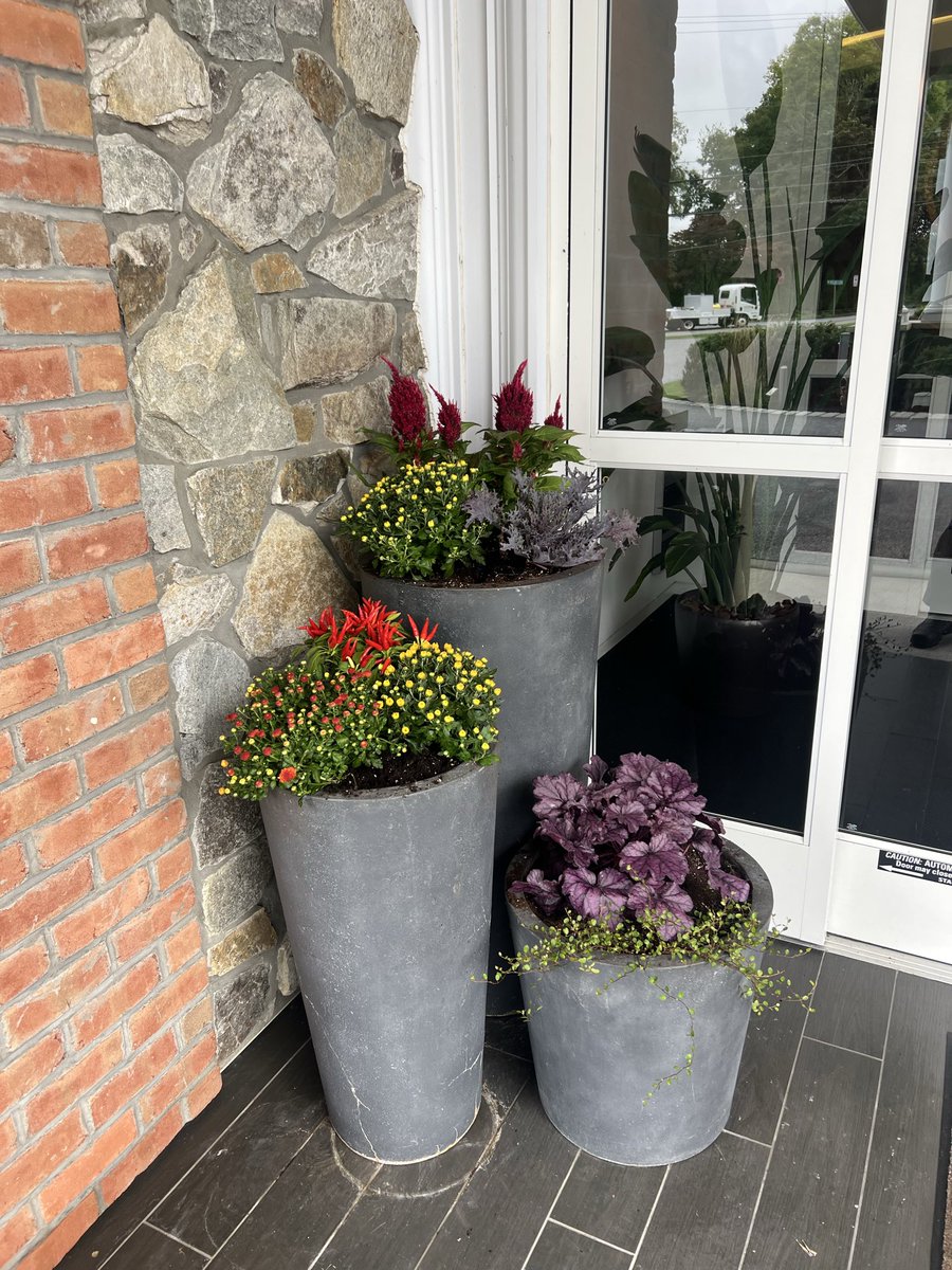 bobber85's tweet photo. Fall container gardening. I love being given a selection of plants and designing on the fly. https://t.co/YMvwT037yp