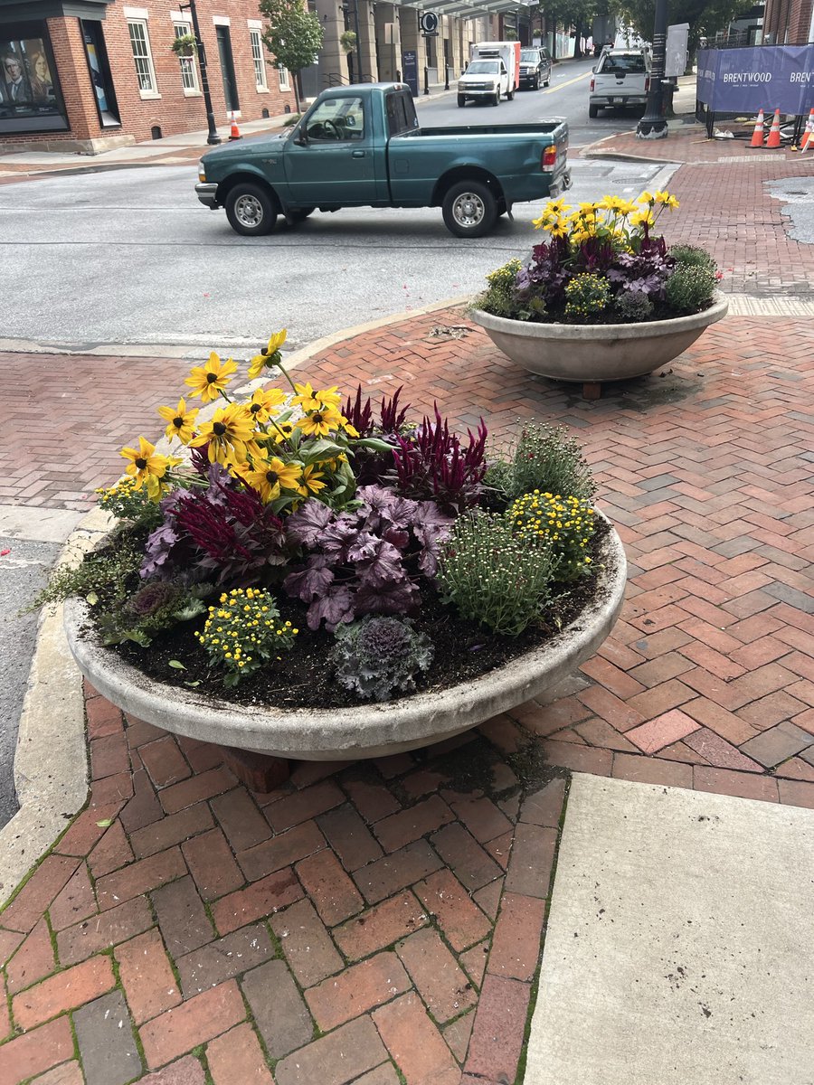 bobber85's tweet photo. Fall container gardening. I love being given a selection of plants and designing on the fly. https://t.co/YMvwT037yp