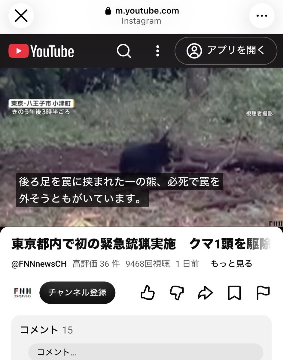 e71ALZdPBJTGvS7's tweet photo. 八王子の殺されたクマ。
初め70センチと報道され翌日147センチ65キロと訂正されているが、どうみても子グマ。更に日頃から猪鹿用にトラバサミを仕掛けていた、とある。違法じゃないか？動画↓
https://t.co/nJZZfAWrPr
#熊を守ろう https://t.co/wHkrD6PPfQ