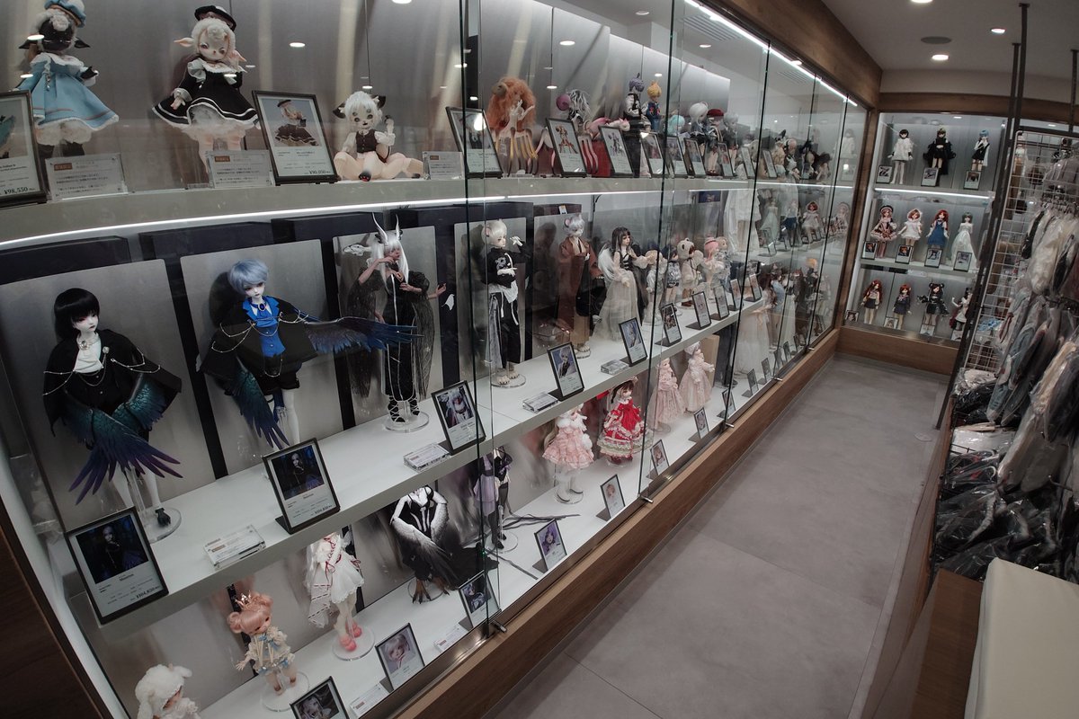 lycoris_avatar's tweet photo. DOLKさんの池袋店、OPEN初日眺めてきたよ。
壁3面に100体くらい並んでて壮観。
ラジ館店を3倍位の広さにした雰囲気？
通路ゆったりで、中央2島の棚はサイズ毎に陳列別れてて見やすかった。
んでやっぱ実物見るの大事で、写真ではスルーしてた娘に惹かれちゃってたいへん。
ワンオフっ娘も眼福でした。 https://t.co/eFNbigm8pf