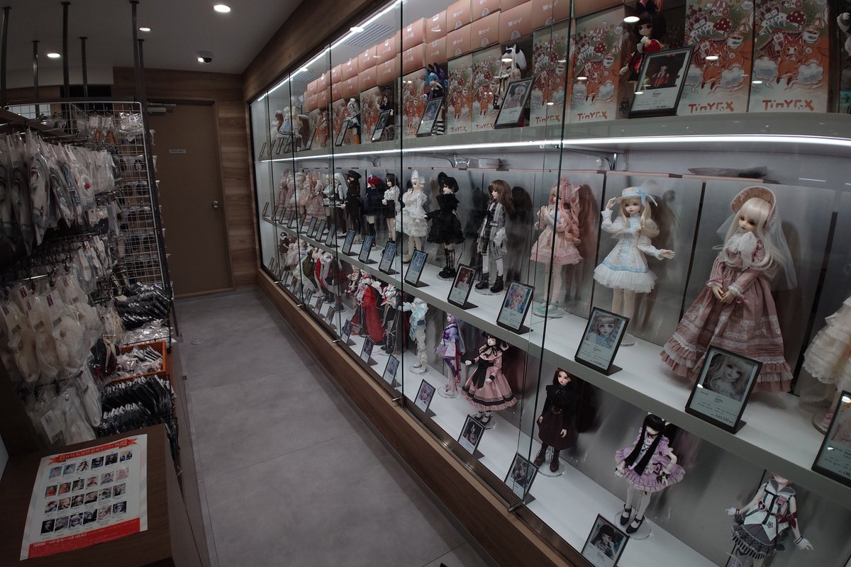 lycoris_avatar's tweet photo. DOLKさんの池袋店、OPEN初日眺めてきたよ。
壁3面に100体くらい並んでて壮観。
ラジ館店を3倍位の広さにした雰囲気？
通路ゆったりで、中央2島の棚はサイズ毎に陳列別れてて見やすかった。
んでやっぱ実物見るの大事で、写真ではスルーしてた娘に惹かれちゃってたいへん。
ワンオフっ娘も眼福でした。 https://t.co/eFNbigm8pf