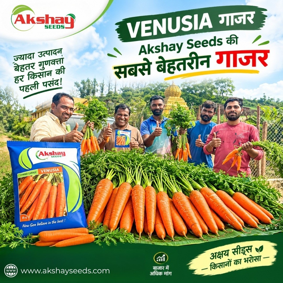 Akshay_Seeds's tweet photo. गाजर तो बहुत देखी होगी… लेकिन ऐसी गाजर देखी है? 👀🥕🔥
यह है Akshay Seeds की VENUSIA गाजर 🌱
बेहतरीन फसल की शुरुआत होती है सही बीज के चुनाव से
#venusia #gajar #gajarkheti #carrotfarming #carrot #gajarkifasal #vegetablefarming #vegetableseeds #hybridseeds #kisan #kisankheti https://t.co/6rGttQePOu