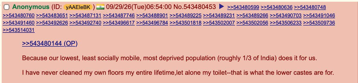ObviousRises's tweet photo. >Indians don't clean anything because they believe its the job of the lower castes
>India is littered with mountains of trash and literal poo
>Nothing is actually being cleaned https://t.co/aEBI1cPnan