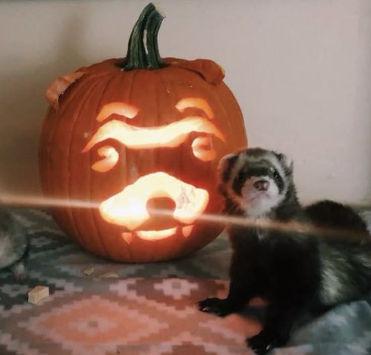 gwisans's tweet photo. 𝓞ctober . . 𝒫lanning  : ᨳ𐔌՞҂ ˕ ֊՞𐦯 . . . :⪩⸸⪨ 
 - kg ¿ ⪩ ⪨ ꠹

: 𝒜limentação limpa 

: 𝒜gua antes e depois de qualquer ref .

: 3,5L mínimos de água 

: 1h mínima d ℰxercicios 

: 10k mínimos de passos

: 𝒞omer "besteiras" apenas quando ganhar https://t.co/ik1kuwF92u