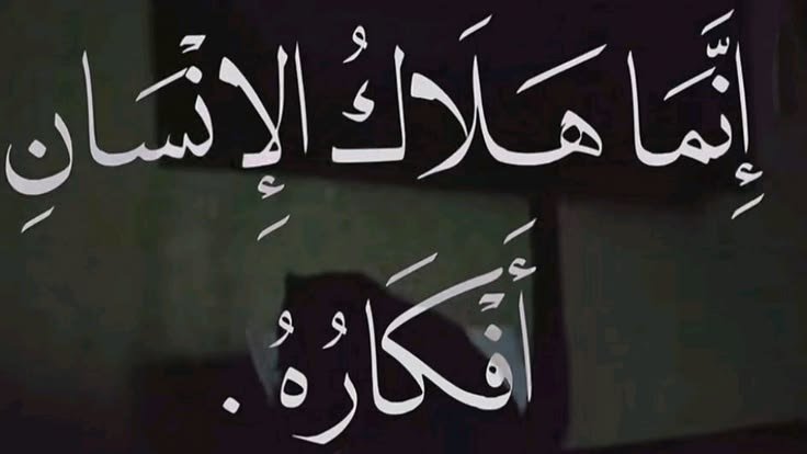 mo_badawy0's tweet photo. https://t.co/WTwOjGSATr