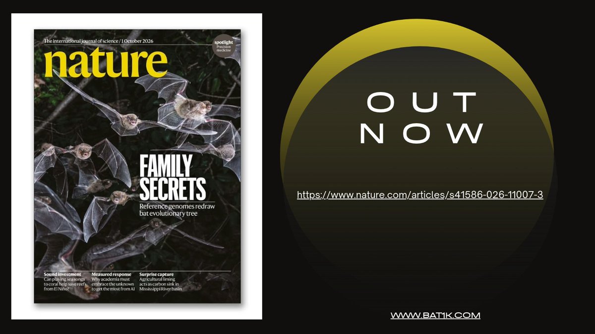 BatProtect's tweet photo. Huge congrats to @EmmaTeeling1 @hillermich &amp; @linfa_wang on latest publication in @Nature 🦇 🏆

Led by @Bat1K team this massive study completely rewrites the bat family tree, tracing their origins back 65m yrs to EU 🧬
@ERC_Research @ucddublin @dukenus https://t.co/6uKFapY00Z