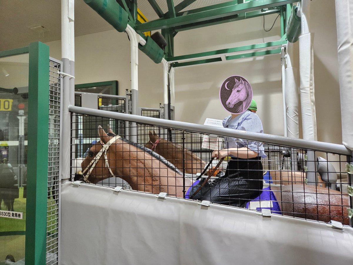 llc_fj_'s tweet photo. @misskoichiro JRA博物館🐎競馬民なら一度は憧れる(？)スターター体験や発馬機内の馬のオブジェに騎乗することができる🐎屋内だから雨の日でもかなり楽しめる🐎 https://t.co/N9pPcMgWai