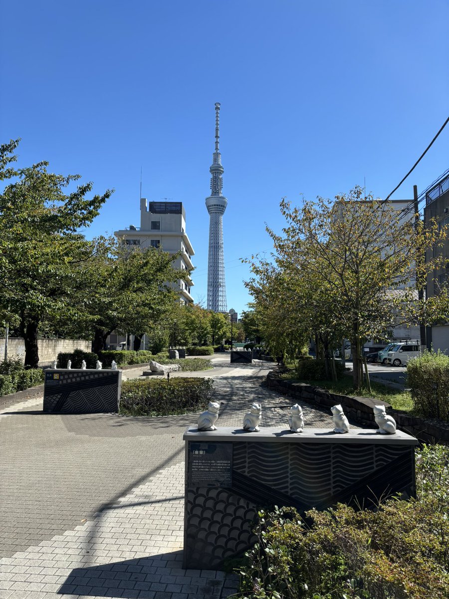 jinxnow's tweet photo. 今日は、北千住→南千住→橋場→今戸→山谷��→浅草→上野と散策。3軒の違うおにぎり屋さんをハシゴしながら歩きました。 https://t.co/ZqDARsz0eO
