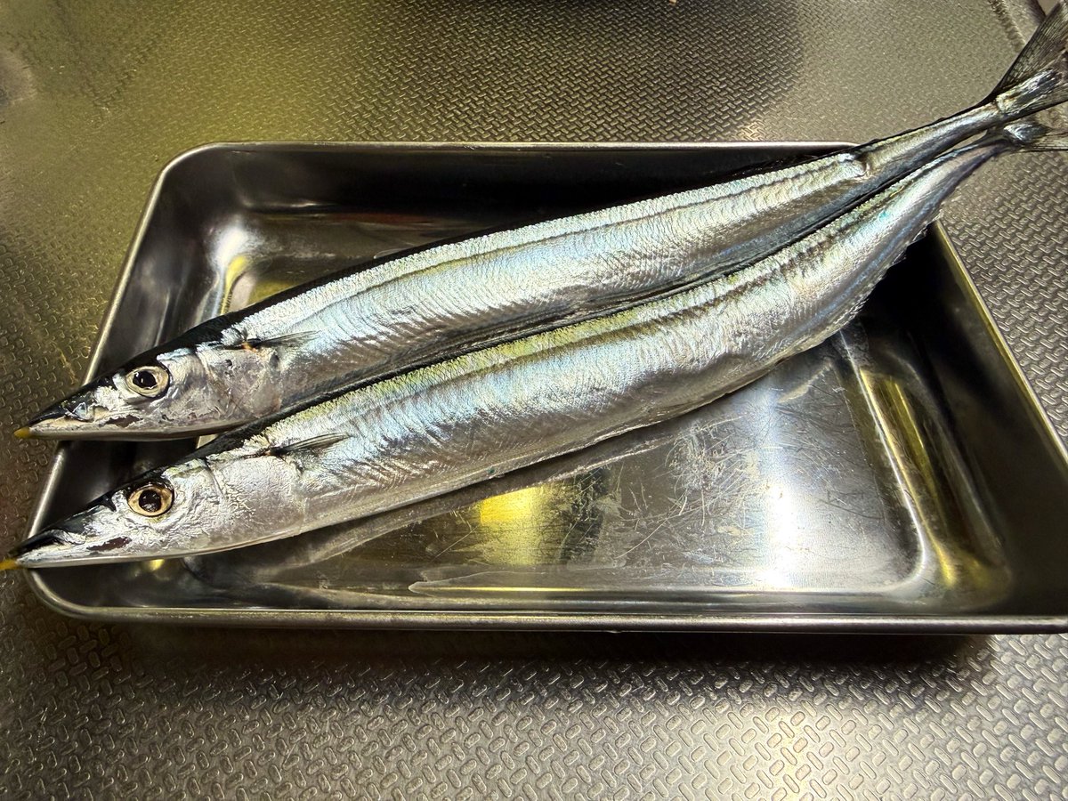 toshi_125's tweet photo. これは岩手の秋刀魚 https://t.co/cqYTYeNd6l