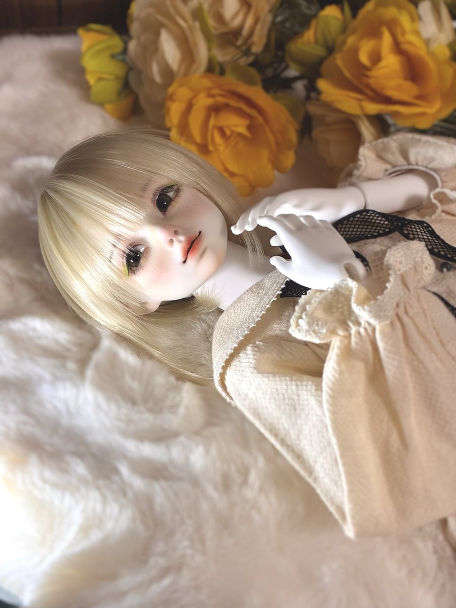 YnoDollacc's tweet photo. ロアくん今日も美人だね... https://t.co/FtTHnAI6yd