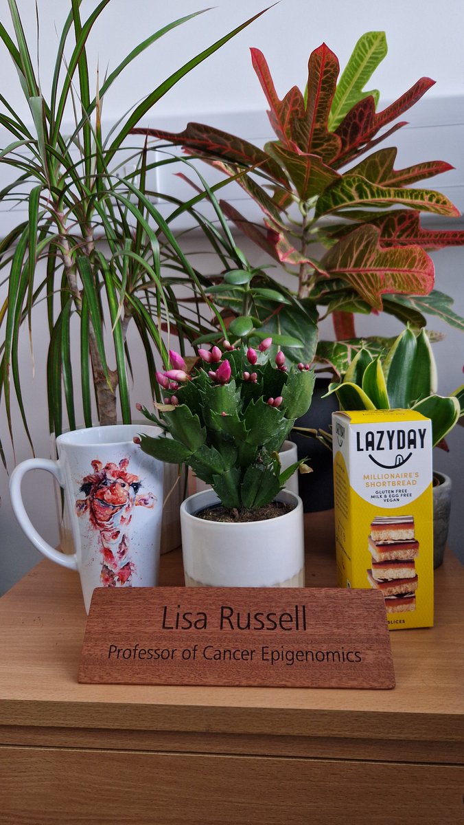 LJRussell_Lab's tweet photo. Delighted to share that LEGEND Group Leader, Lisa Russell, has been promoted to Professor of Cancer Epigenomics! 🎉🧬

A milestone built on hard work, dedication, an amazing team, awesome support — and a healthy dose of good fortune.

Excited for what comes next! 🔬 https://t.co/FEYBC6x803