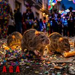 Photo by Comparsa LA PLAGA (@ComparsaArguez)