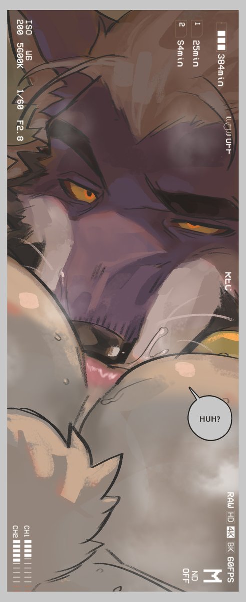 ballballwolf's tweet photo. Secretly filming https://t.co/Dti4EEOg6J