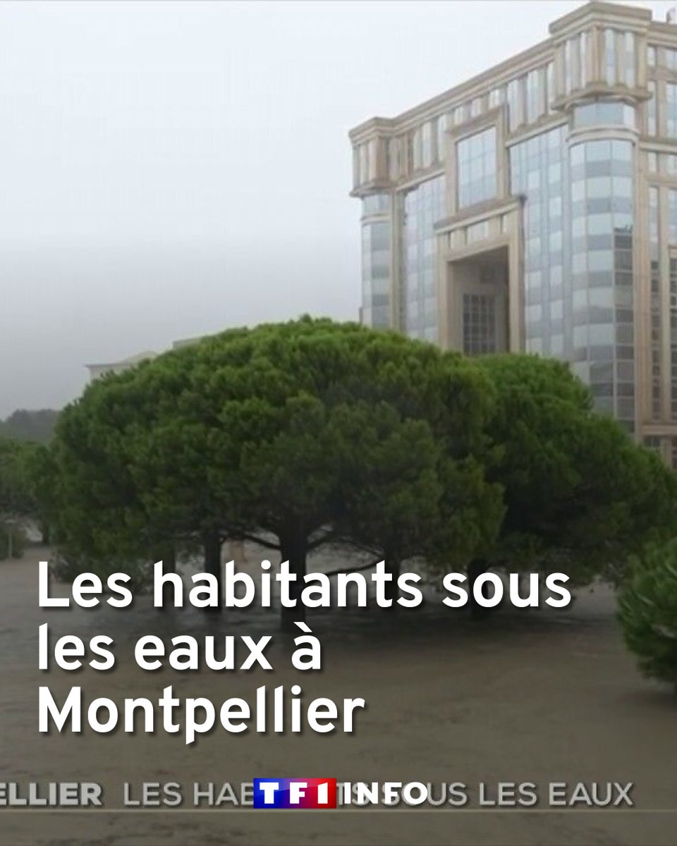 TF1Info's tweet photo. Les habitants sous les eaux à Montpellier
➡️ https://t.co/Lg0kT0eipe https://t.co/n0HgTgrtxa