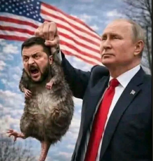 RascherSteffen's tweet photo. @ZelenskyyUa 🤮🤮🤮🤮🤮🤮🤮🤮🤮 https://t.co/u4qiU0W0JK