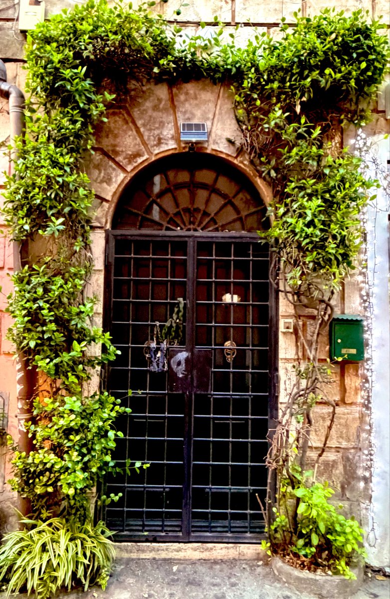 arksangel's tweet photo. Drop your adorable doors ๐ช #StreetPhotography #photographylovers #orangeandgreen #Italiandiaries #WheninRome #RomanHoliday #Travels https://t.co/Igec08kmiG
