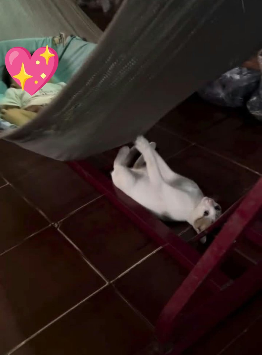 dellunera's tweet photo. BAYI NGASUH BAYI 😭🫶🏻 https://t.co/NS6aDyUCoM