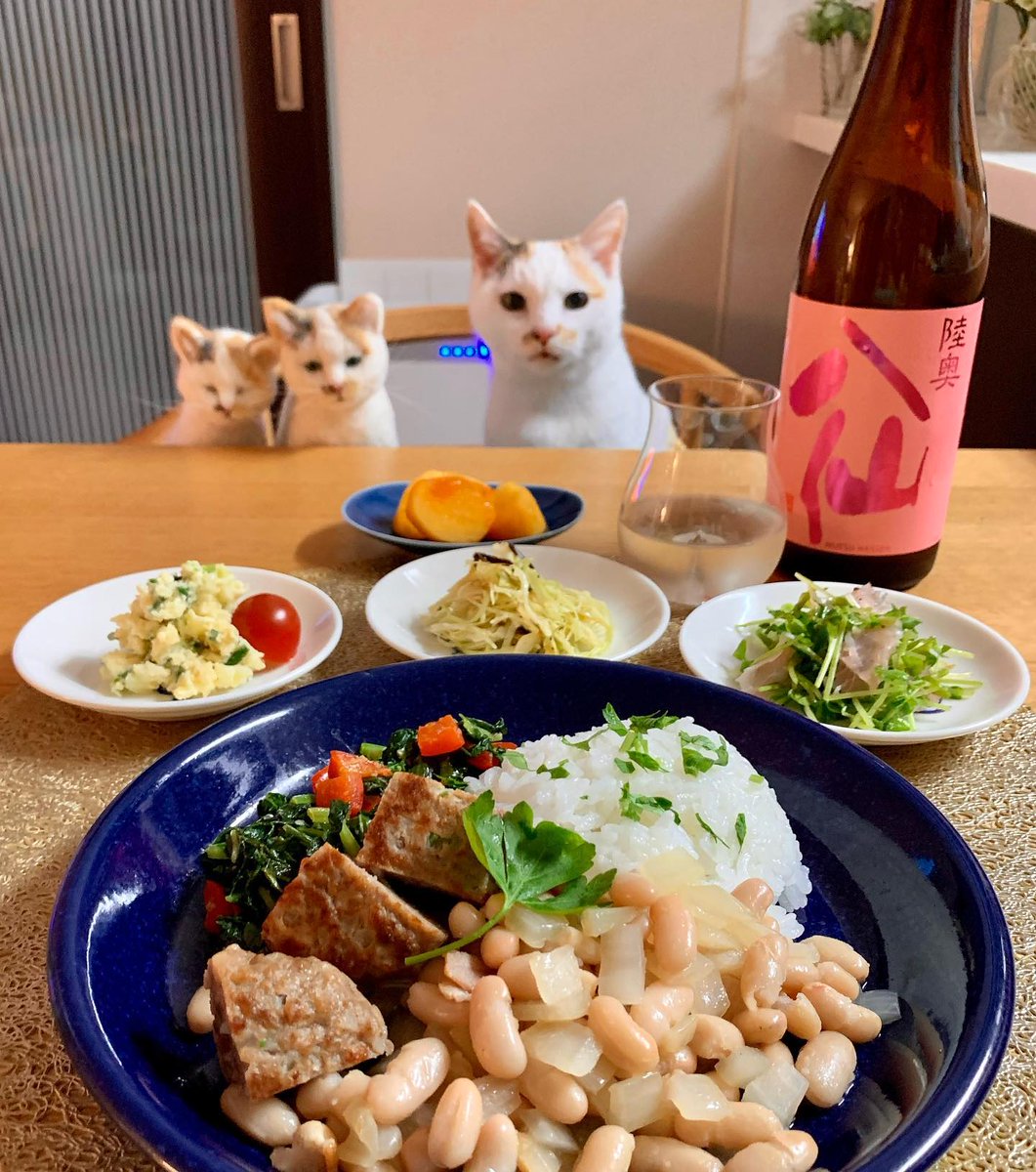 MaxwellSlopoc's tweet photo. 満たされたはずの時間が、また別の何かを求めて空腹を覚えるのはどうしてだろう。終わりのある充足感に、また次の物語を重ねていく。 https://t.co/fAFTPyJrIi