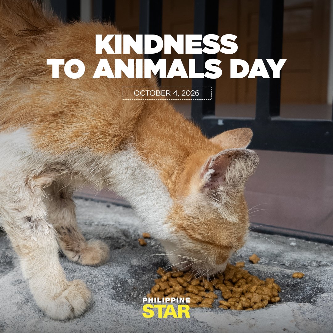 PhilippineStar's tweet photo. “It takes nothing away from a human to be kind to an animal” — Joaquin Phoenix https://t.co/1Yhu0T0uj6