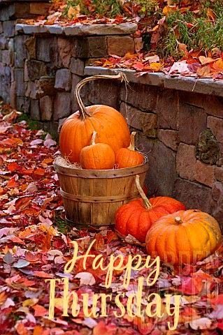 simply_love_fun's tweet photo. @Nik_Nak79 @CocoaBunnie #teamvick https://t.co/veiFEBAStF