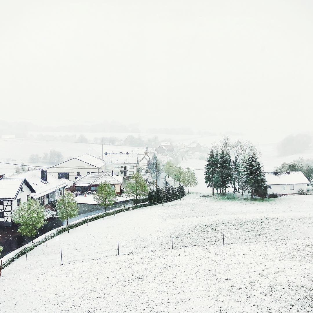 maxsoelsoouza's tweet photo. Schönes Maiwochenende in der Eifel mit Grillen 🙈😎🤔 naja jetzt ist eher rodeln angesagt #mai #notgrilled #enjoylife💯 #rodeln #eifel #nürburg #reimerath #snow #ichdachtewinteristvorbei #winterishere❄️ #schneeballschlacht #ontour #friends https://t.co/EyBlV9mbCW