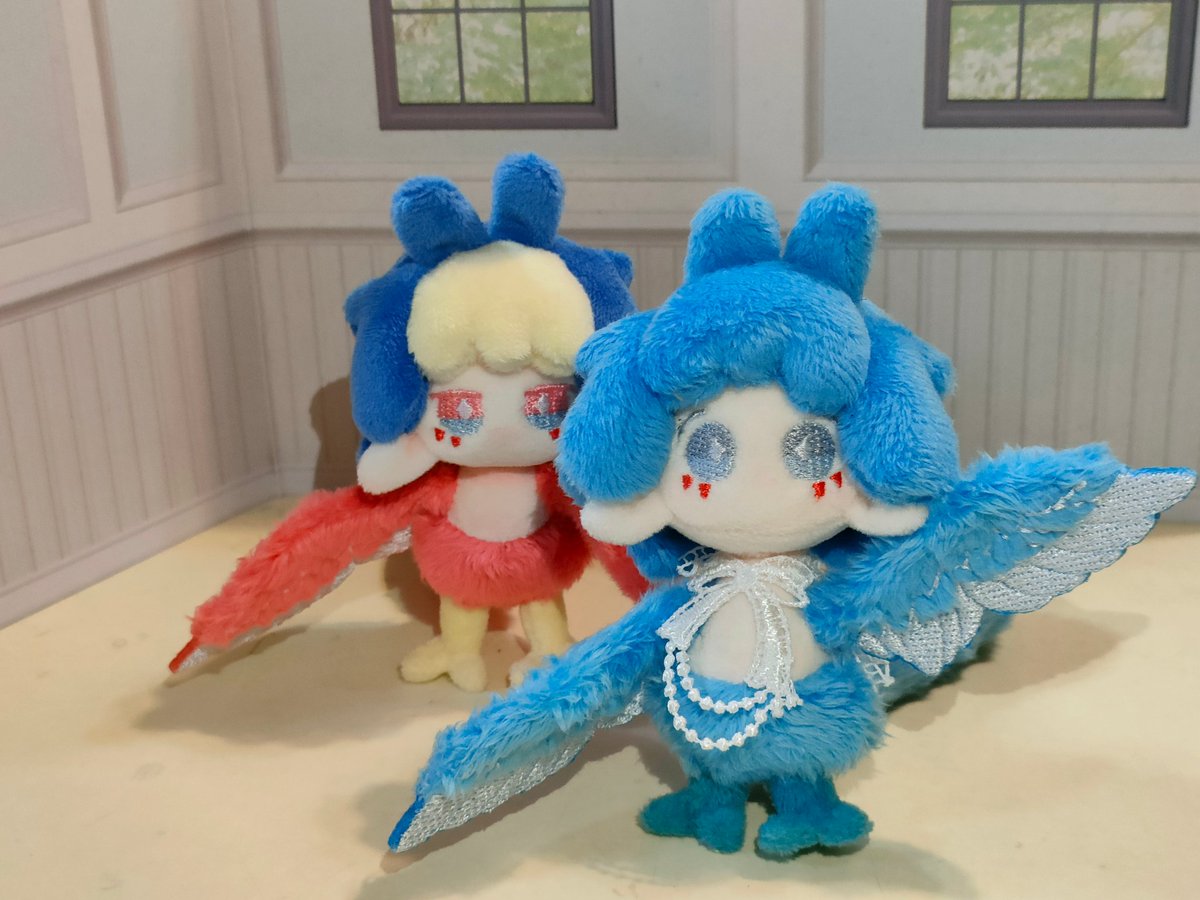 prismrrran's tweet photo. ちょっと離れて！！ってトリちゃんに私が怒られてるとこ。
もしかしてトリトリちゃん警戒モード！？人見知り？ https://t.co/Iz8Lvk4WRX