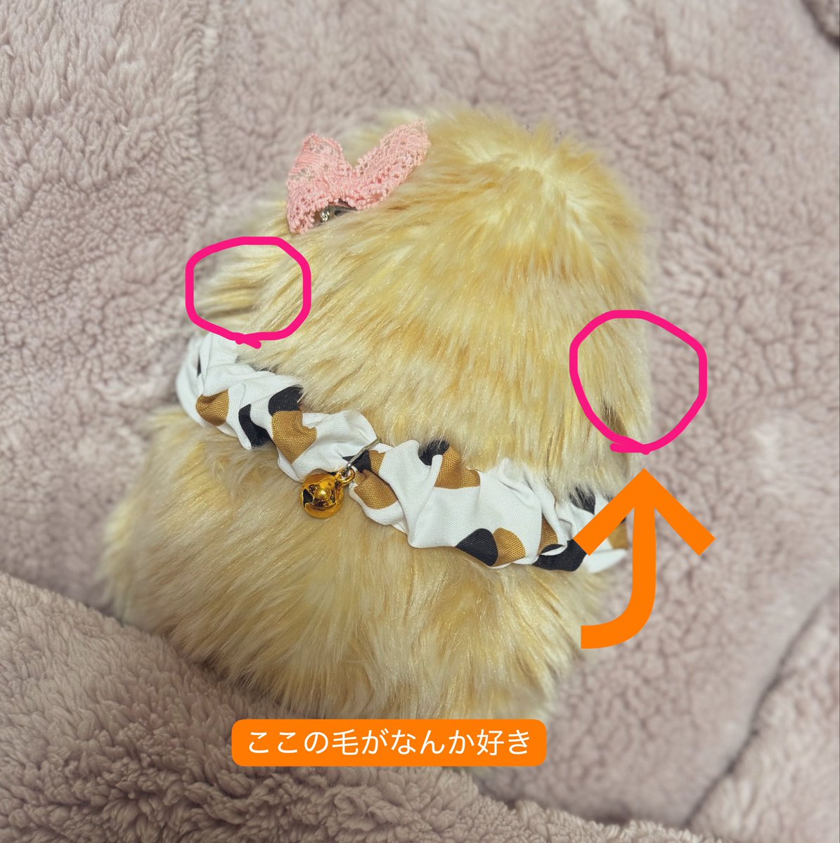 mofupimaru's tweet photo. 垂れ耳さん、無事購入出来ました🥹
後はすぐにお支払いにいきます！

楽しみだね🥰️✨
そして三毛柄首輪をGET
#モフ���ン https://t.co/C92LWVYksZ