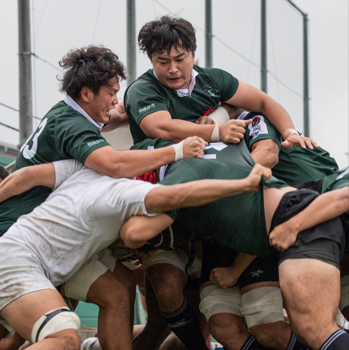 DYNABOARS's tweet photo. 9/30 早稲田大学ラグビー蹴球部とFW 合同ユニット練習を行いました🏉

@waseda_rugby 
#三菱重工相��原ダイナボアーズ https://t.co/Dy9GRcXwh7