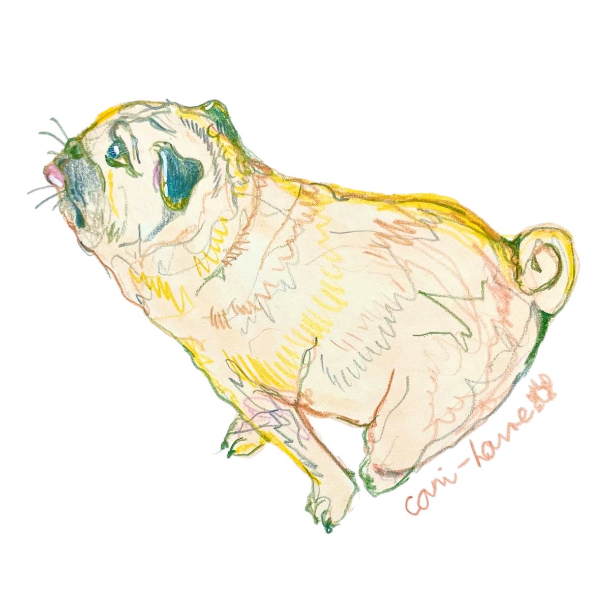cani_house's tweet photo. #6冊目記念パッグ

#スケッチ　#イラスト　#アナログイラスト　#illustration  #art  #色鉛筆　#毎日投稿　#パグ　#pug  #犬　#鼻ぺちゃ　#かわいい　#最高　#きっとこの世界を作りたもうた創造主　#プリティ　#dog https://t.co/0RuaGoIrLU
