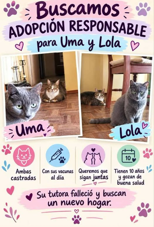 Mikamagic80's tweet photo. Pobrecitas, Lola tiene una cara de tristeza
Ahí es donde entendés porqué ellos se tienen que ir antes que nosotros https://t.co/h60uqzuXky