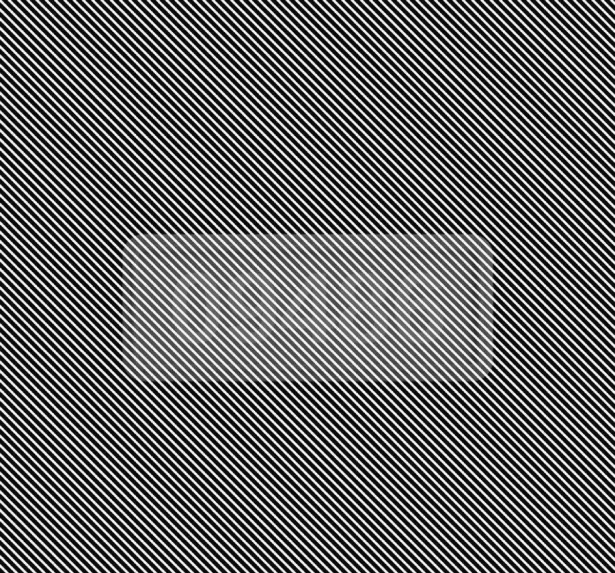 Barron_trump1_1's tweet photo. No one has found this number yet

What number do you see?

The one who finds the correct answer wins $9,000
It ends in 90 hours! https://t.co/hrI8HV1tjo