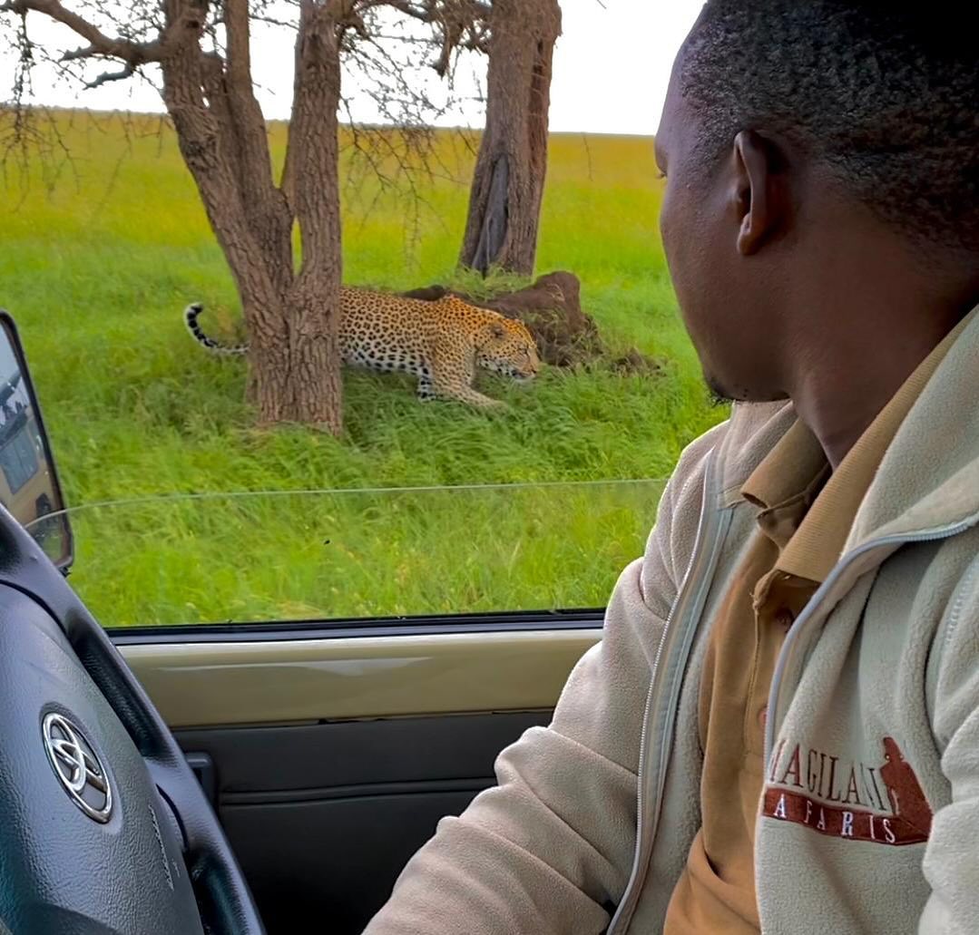 yanfiu's tweet photo. La nostra guida #Justin con Leopardo nel parco nazionale di Serengeti.. 📩tour@magilani-safaris. com

🌍 

Link in Bio

#safari #tanzania #safarilive #safarilife #safarilover #adventure #africa #lion #africasafari #photosafari #africansafari https://t.co/zU0ERs30Zo