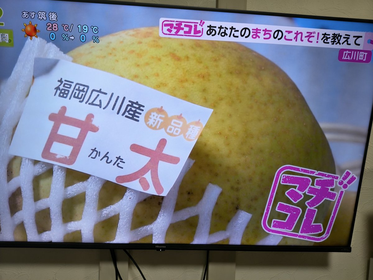 dreamuh643dp's tweet photo. やっぱりへんなカッコで写ってたー笑 https://t.co/uyXh1zxVmT