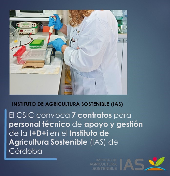 IAS_CSIC's tweet photo. 🔛 📢 El CSIC convoca 7 contratos para personal técnico de apoyo y gestión de la I+D+i en el Instituto de Agricultura Sostenible (IAS) de Córdoba
#cienciaparalagricultura #CSIC @CSICdivulga @IAS_CSIC #EmpleoCSIC
https://t.co/ms7F1JvE5K https://t.co/ERp1ARdCHG