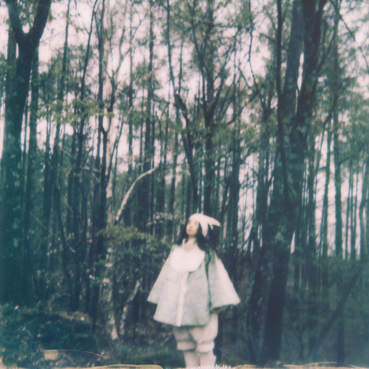 pf_eve's tweet photo. ✵⋆⋆  𝐍𝐞𝐰𝐬  ⋆⋆✵

2026.10.7

〝In the silent woods〟single release!

今月リリースされるアルバム
「Wonder Tree」から主要曲を
シングルリリースします🌲☽˚

去年の夏インスピレーションを求めて
旅をしたフィンランドの森や静けさに
感化されて生まれた曲

-耳を澄ませば、声が現れる https://t.co/GKkKu9NcbG