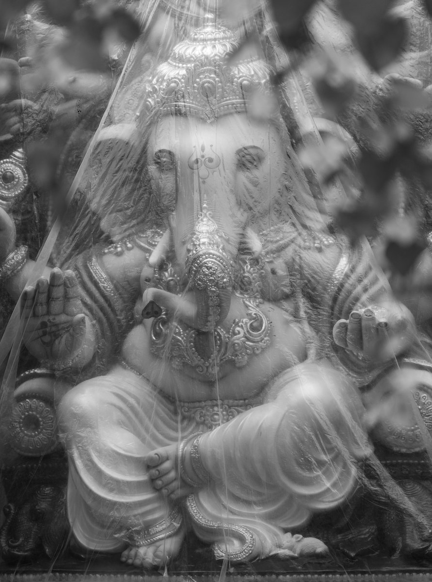 Ariemog's tweet photo. 🎨✨ From Clay to Divine ✨🎨 In Dhoolpet, Hyderabad, every Ganesh idol begins as a lump of clay—and becomes a symbol of devotion. Watch tradition come alive in the hands of master artisans. 🙏🪔

#GaneshChaturthi #DhoopetMagic #IdolMaking https://t.co/Wgy6ckQmFN